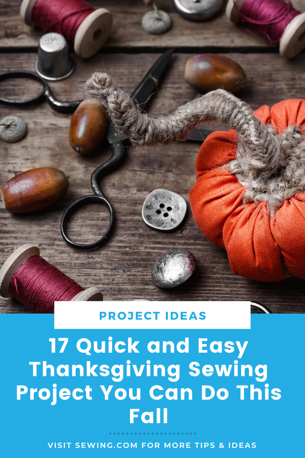 placard | 17 Quick and Easy Thanksgiving Sewing Project You Can Do This Fall