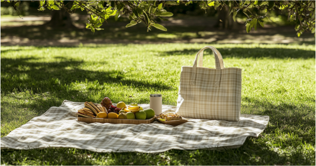 DIY Picnic Essentials You’ll Actually Use: Blankets and Totes That Last